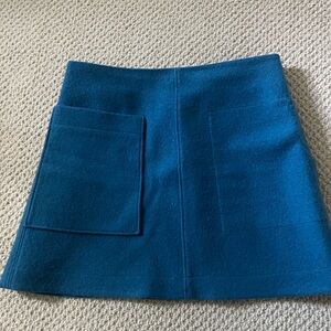 COS Deep Blue A-Line Skirt